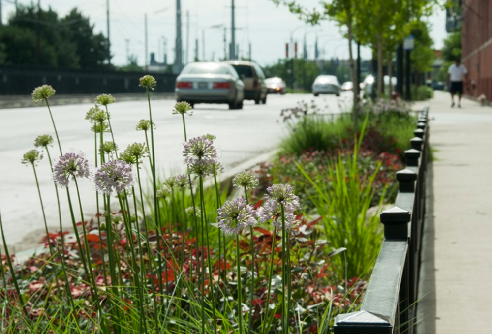 Green Streets Naturally Resilient Communities