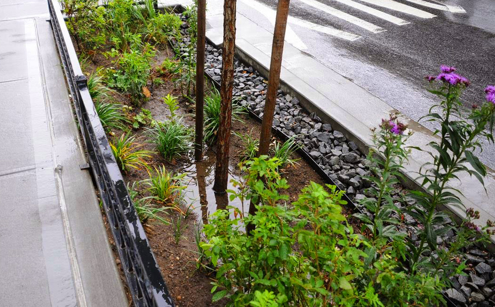 Green Streets Naturally Resilient Communities
